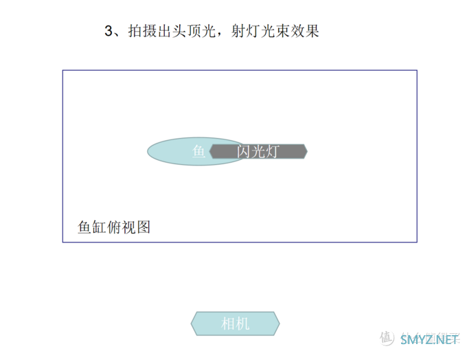 摄影新人经验分享---如何拍摄好那些漂亮的观赏鱼