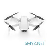 轻如鸿毛的大疆Mavic Mini，放到市场上却重若泰山