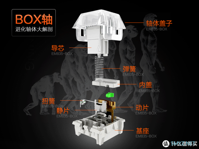 好物分享 篇五：国产轴佼佼者——达尔优EK822凯华BOX白轴机械键盘上手