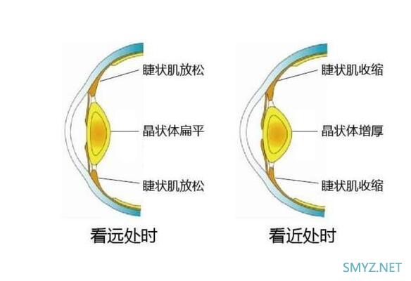 GOOVIS Young“手机影院”评测