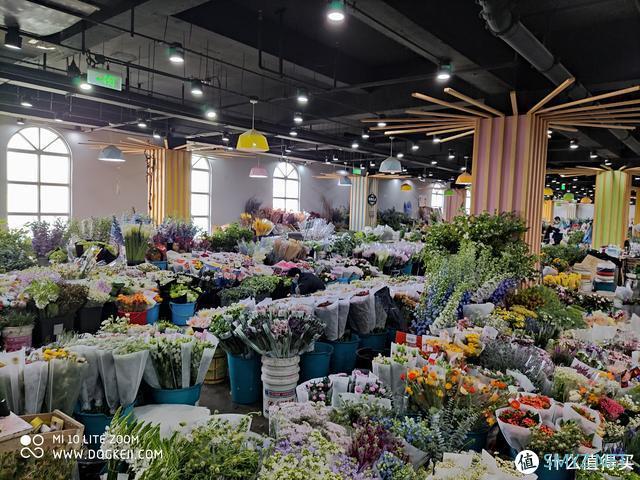 拍照手机盘点：小长假旅行照片这样拍 分分钟霸榜朋友圈