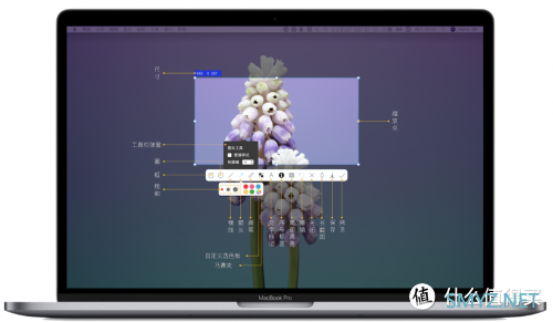 好用神器级电脑软件推荐 篇六：长截图，贴图，录屏信手拈来，Mac最强大的截图标注工具