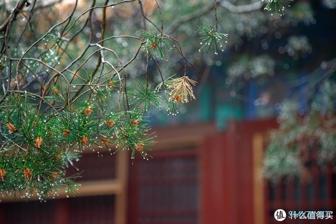 延续轻巧灵魂，腾龙70-180mm F2.8 评测