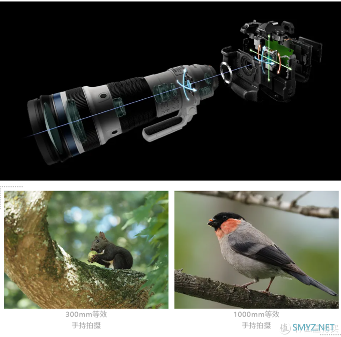 奥林巴斯发布全新超长焦镜头：1000mm等效手持拍摄成为可能