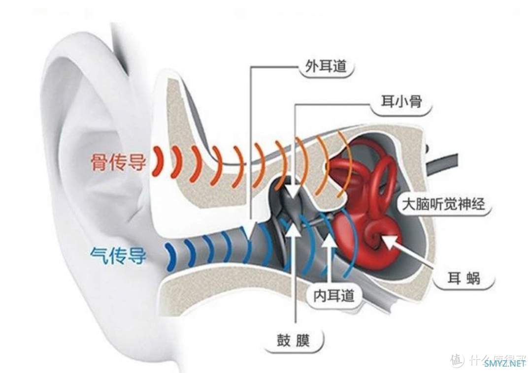 黄昏鼓捣数码 篇一百八十二：骨传导耳机也能谈音质？飞利浦A6606骨传导运动耳机试用测评