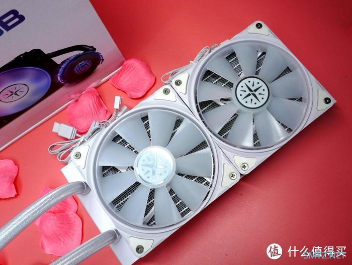 无需现实中养猫，可以用老婆去云撸猫，盈通RTX 3070樱瞳随手评测