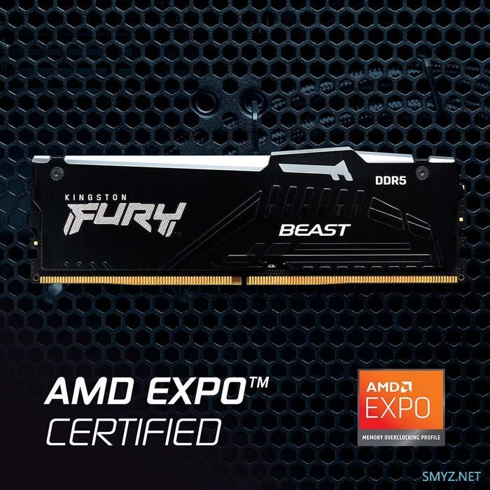 为AMD新锐龙：金士顿发布 FURY Beast DDR5“野兽”EXPO系列