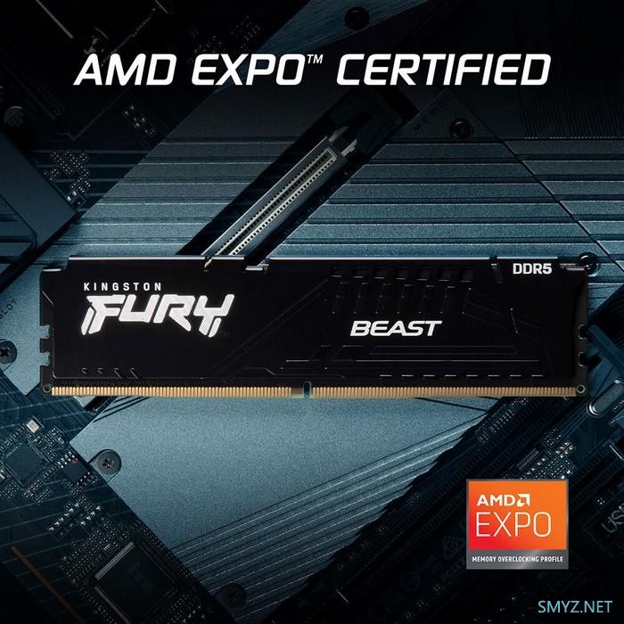 为AMD新锐龙：金士顿发布 FURY Beast DDR5“野兽”EXPO系列