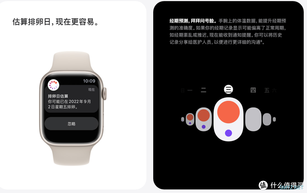 Apple Watch Series8 “小”升级 大不同