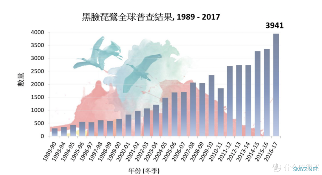 世界候鸟日，来聊聊科技以外的事……