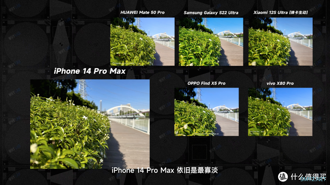 2022 六大旗舰手机拍照横评：华米 OV 星，大战 iPhone 14 Pro Max