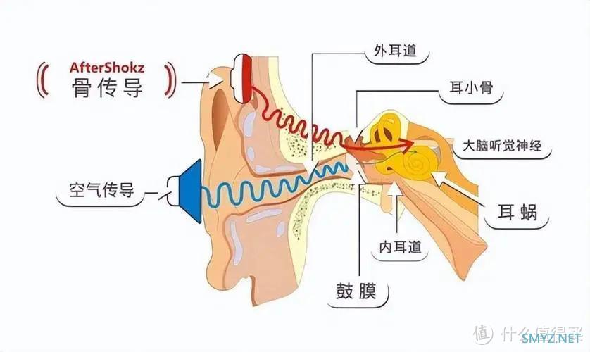 盘点2022年使用过的骨传导耳机