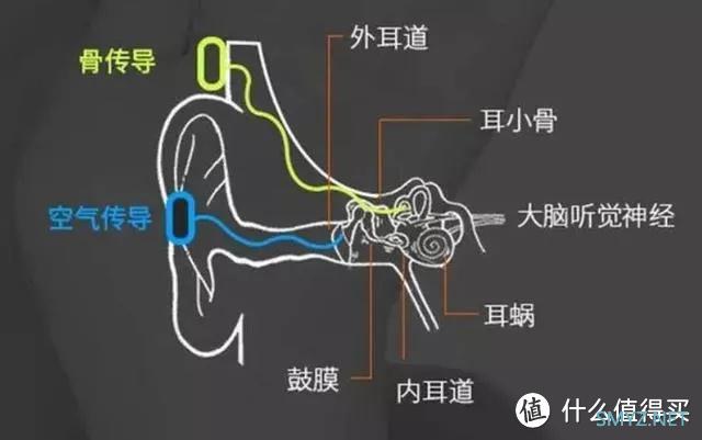 300元左右运动耳机超高性价比推荐：sanag塞那A30S Pro Max气传导耳机实测