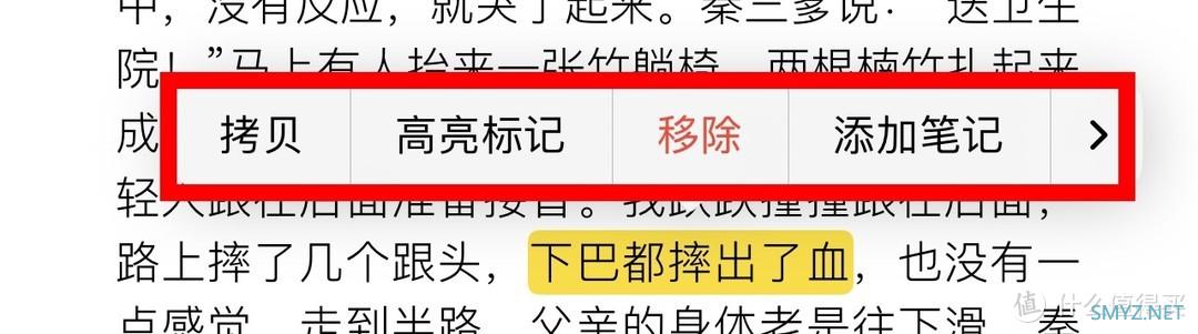 苹果 iPhone 自带的宝藏APP“图书”，看小说神器