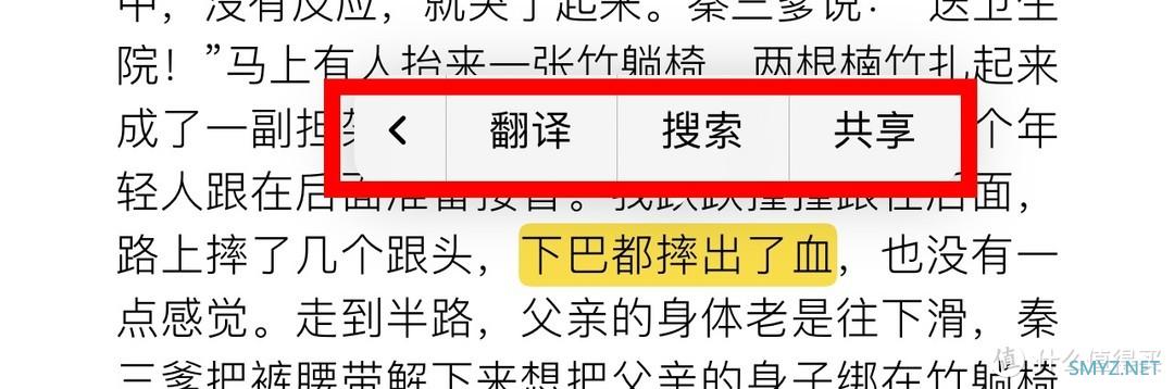 苹果 iPhone 自带的宝藏APP“图书”，看小说神器