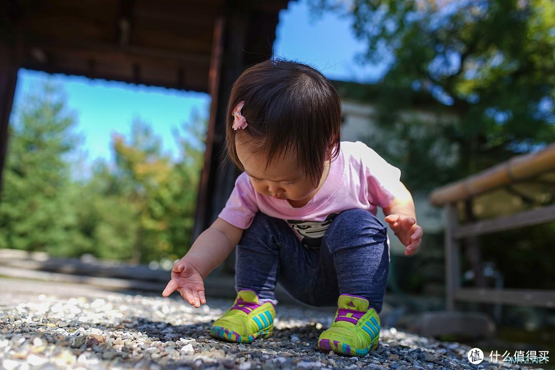 说说手里的sony机身们（a850，a7，a7r4a，a7r3a）