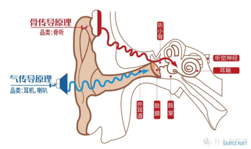 骨传导耳机到底好不好用？体验一个月，说说优缺点！