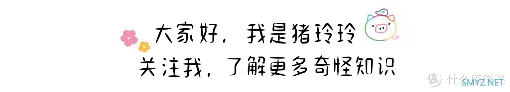 相机想要一键虚化，看看这几款相机吧！