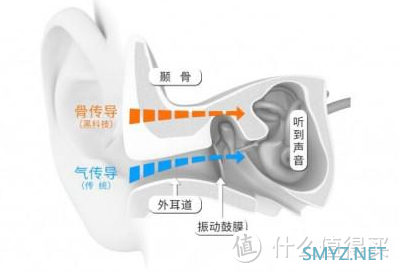 最近什么火 篇十四：百元价位里的王炸耳机，DaiLing戴灵S800骨传导耳机实测分享