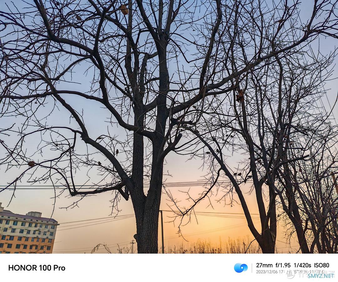 【手机测评】荣耀100Pro真实测评｜荣耀年度最强手机｜5分钟带你看完荣耀100Pro真实体验！