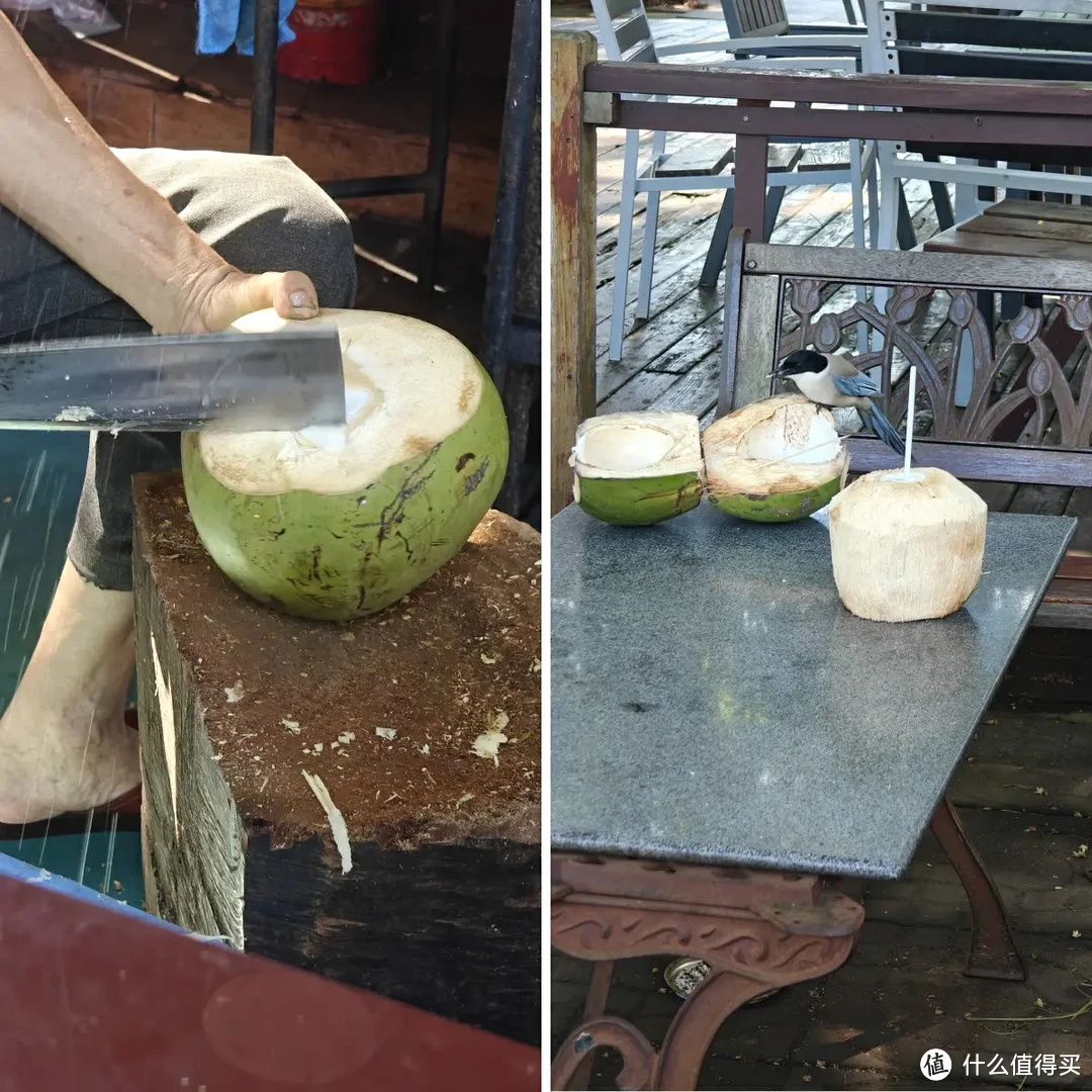 出发海口，是走错方向的暑假旅行吗？？