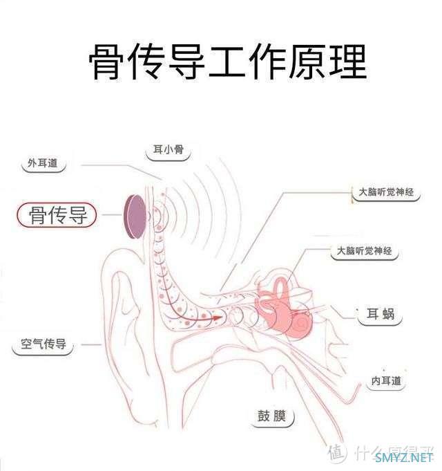 骨传导耳机PK！南卡、飞利浦、颂拓、韶音、墨觉等多维度真实测评