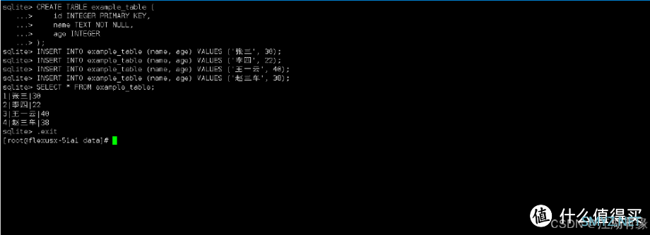 华为云 Flexus 云服务器 X 实例部署 SQLite 数据库浏览器