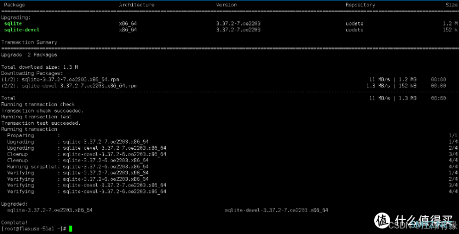 华为云 Flexus 云服务器 X 实例部署 SQLite 数据库浏览器