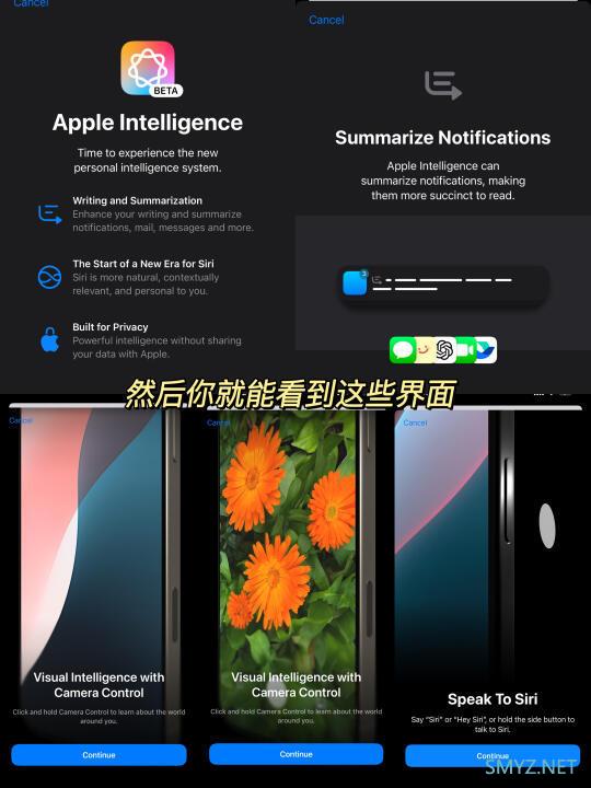 详细教程：如何在iPhone上开启苹果AI功能及相关设置步骤分析