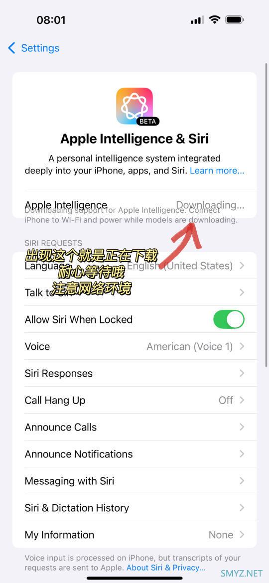 详细教程：如何在iPhone上开启苹果AI功能及相关设置步骤分析